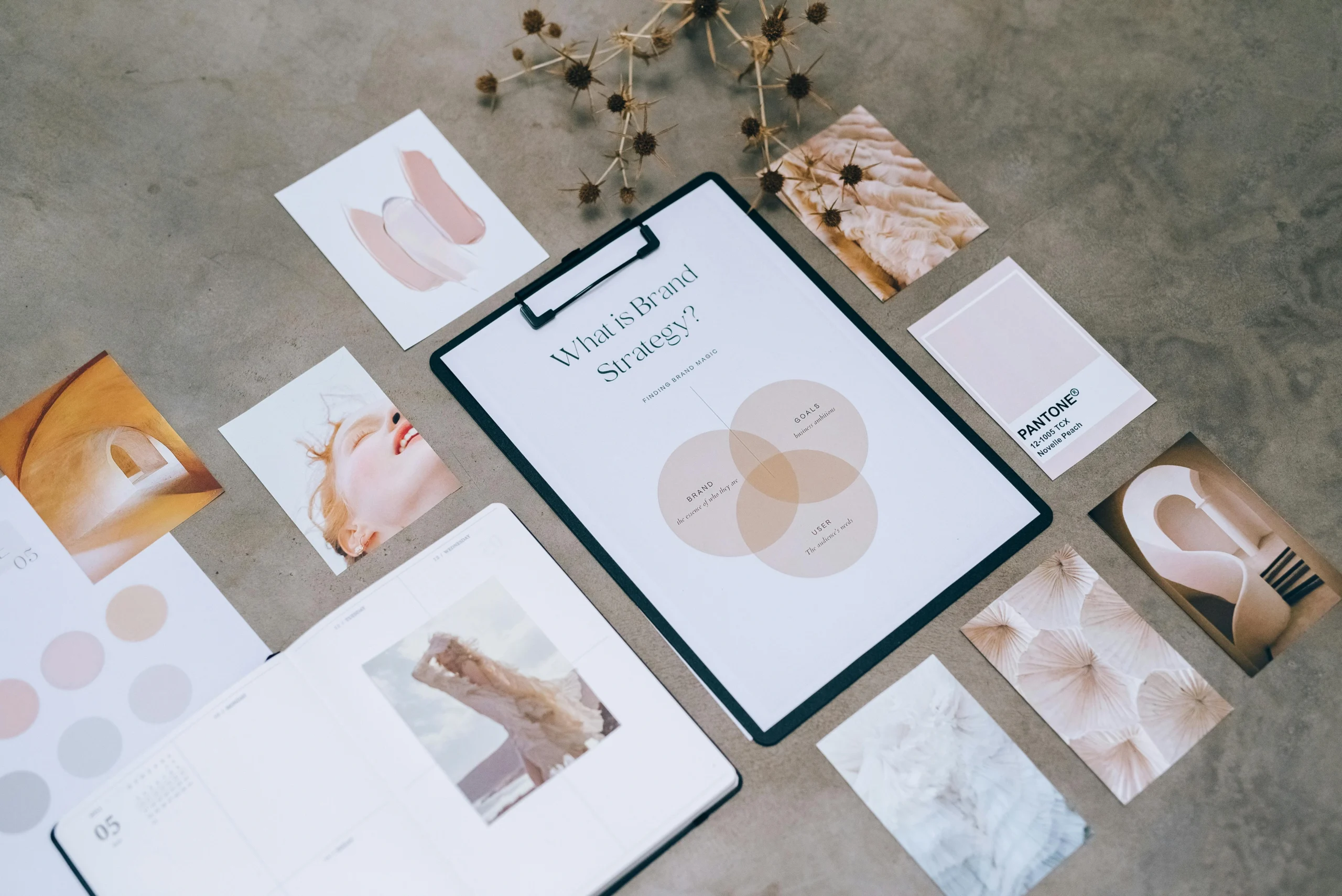 branding pessoal marca renata macelan company